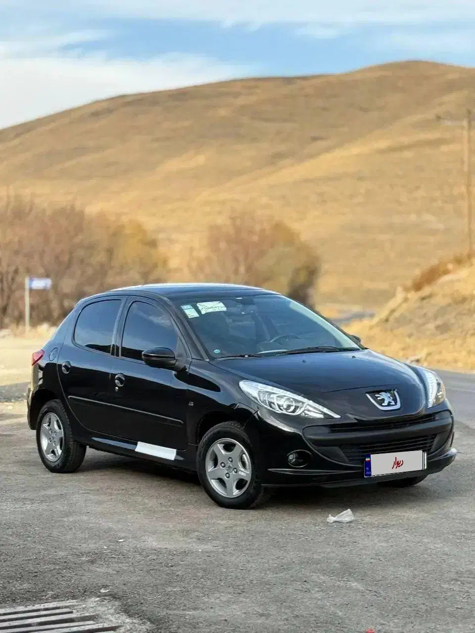 ۲۰۷ دستی پانا|خودرو سواری و وانت|همدان, |دیوار