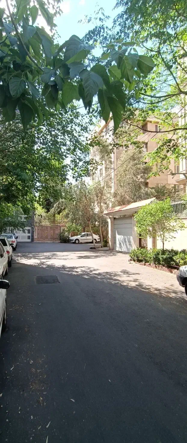 ۲۱۸ متر کلنگی (جنوبی)|فروش زمین و ملک کلنگی|تهران, وصفنارد|دیوار