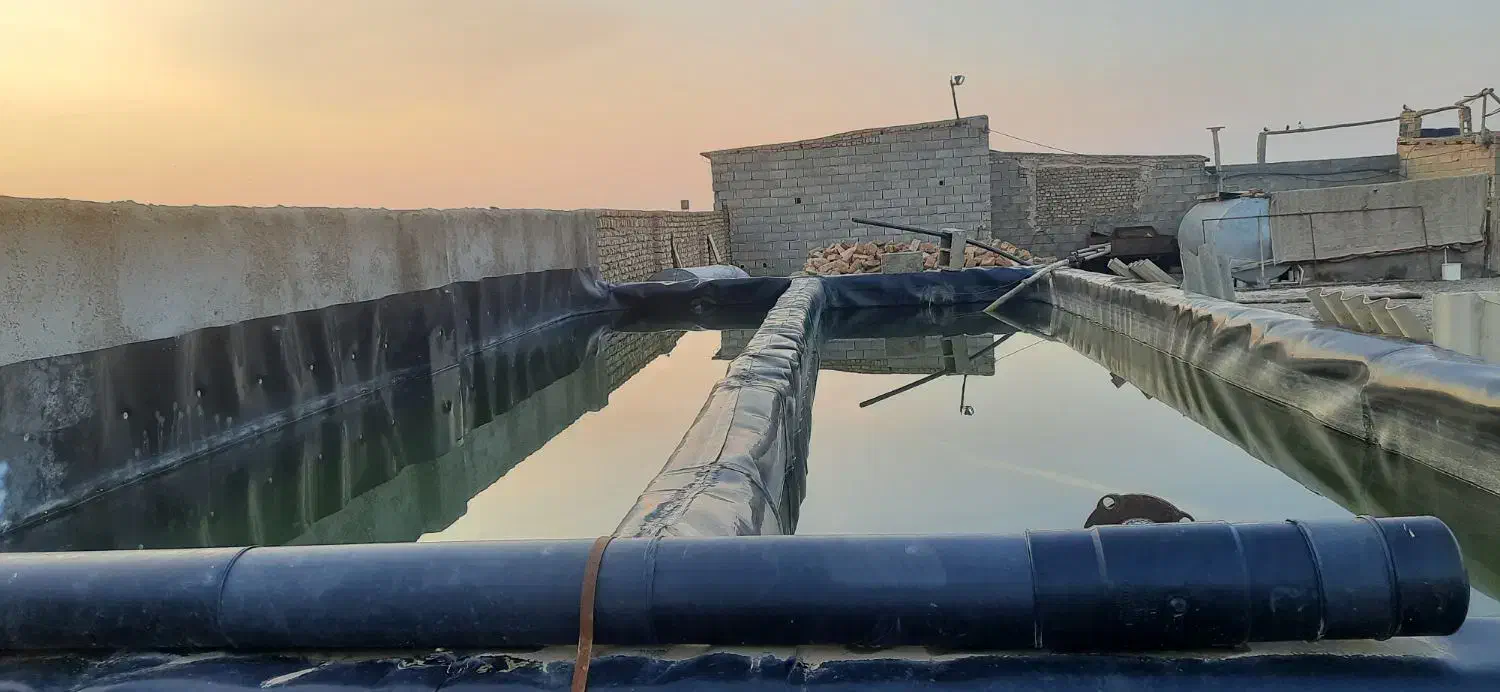 دامداری و باغ پسته|فروش دفتر صنعتی، کشاورزی، تجاری|نیشابور, ریوند|دیوار