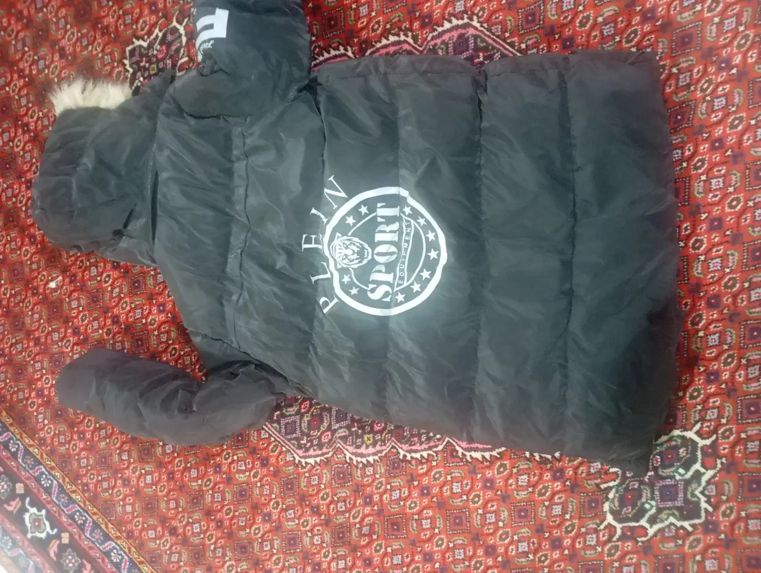 کاپشن پسرانه در حد نو|کفش و لباس بچه|اردبیل, |دیوار