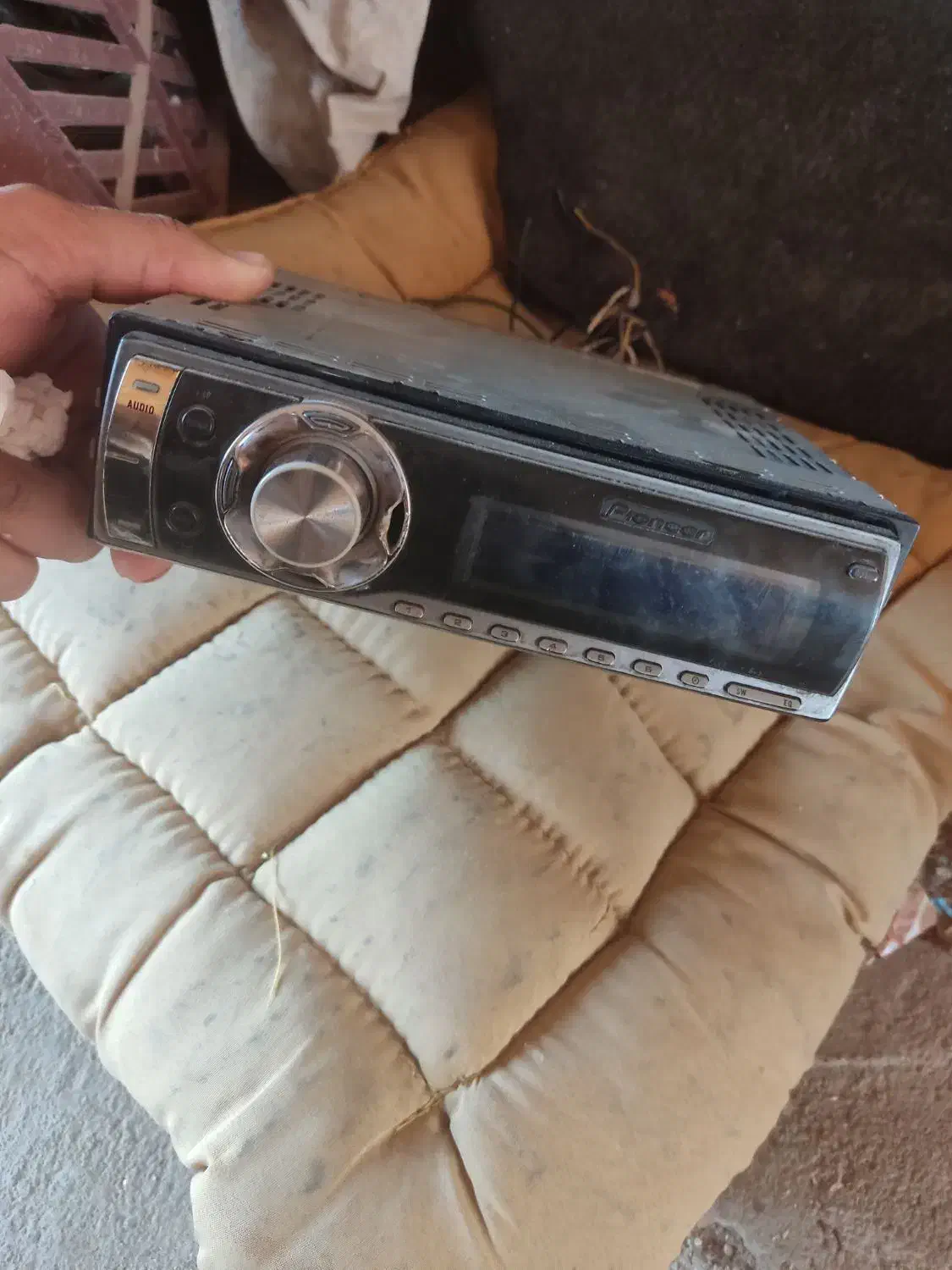 گربه|گربه|کرمان, |دیوار