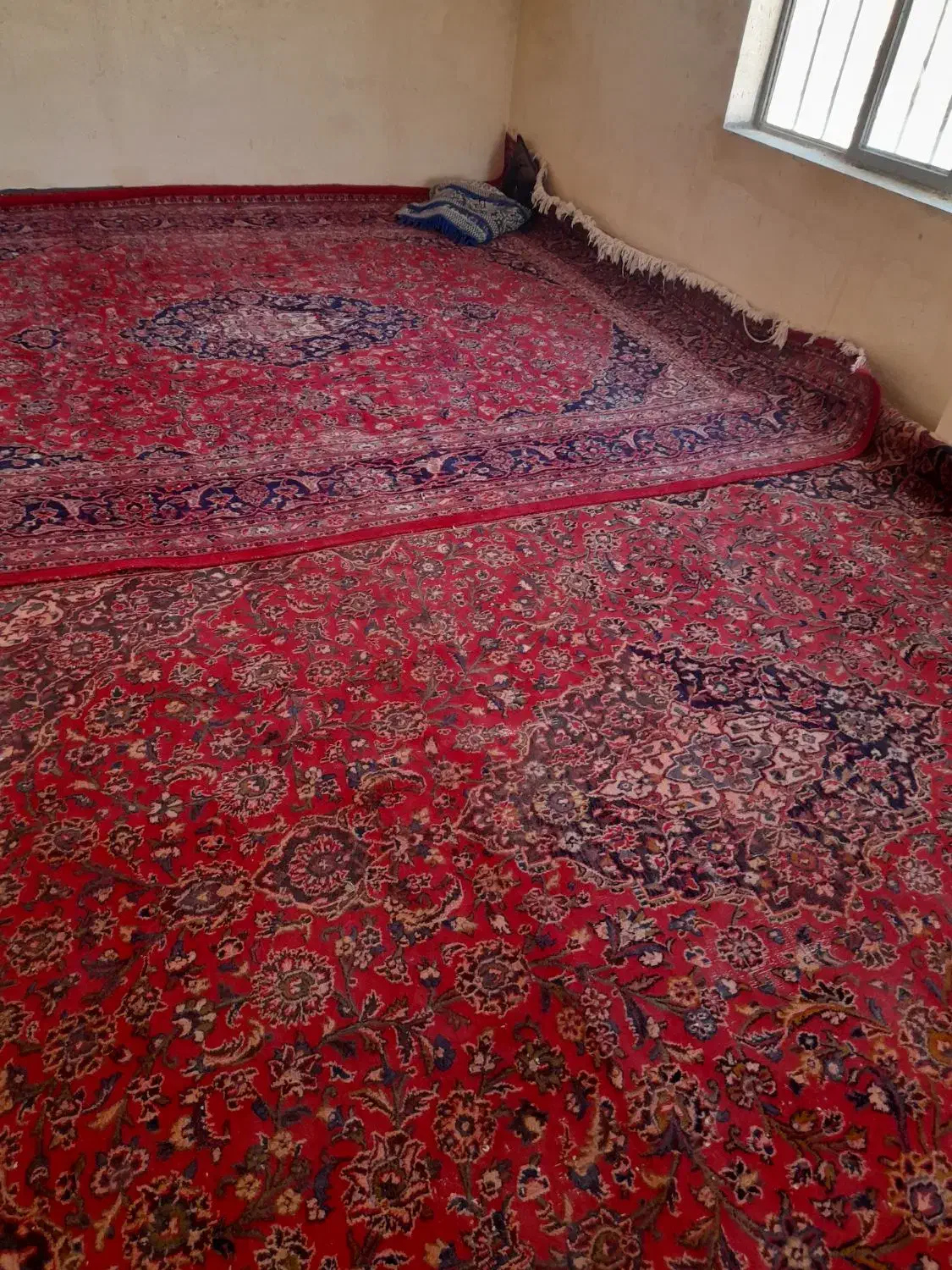 فرش|فرش|مراغه, |دیوار