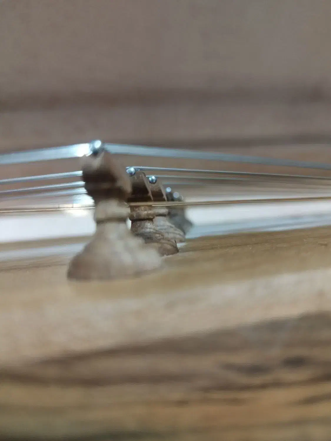 سَنتور(نو)|سازهای سنتی|یزد, |دیوار