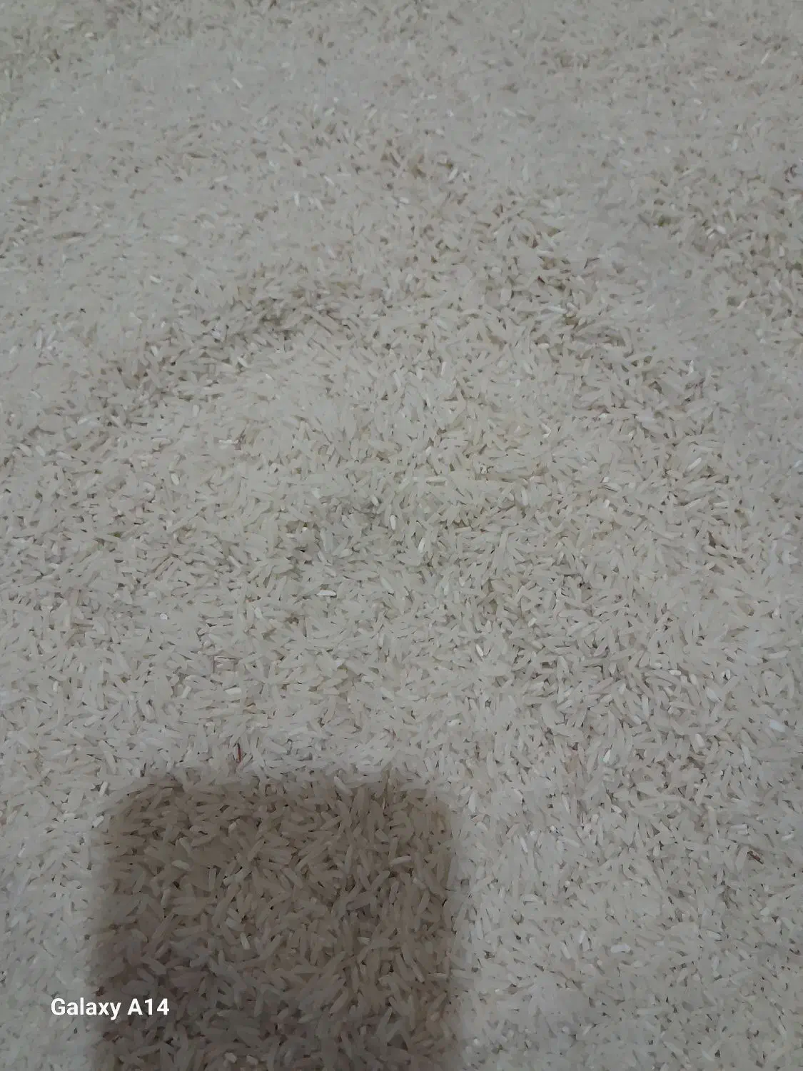 برنج فجر ۹۰ روزه|خوردنی و آشامیدنی|تاتار علیا, |دیوار