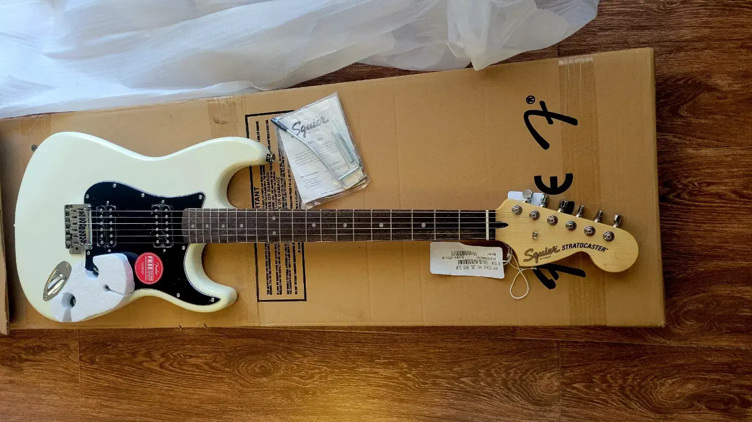 گیتار الکتریک اسکوایر|گیتار، بیس، امپلیفایر|تهران, قیطریه|دیوار