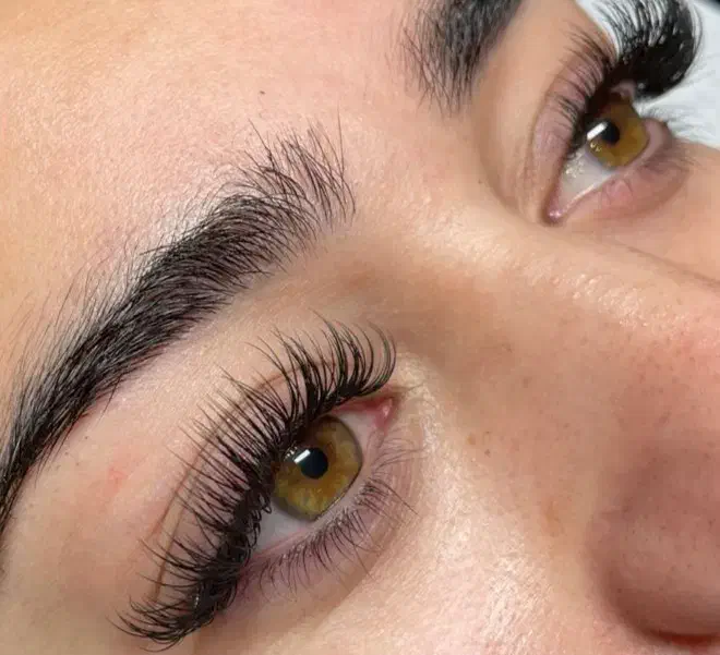 آف یلدایی کاشت مژه، لیفت، پروتئین|خدمات آرایشگری و زیبایی|آمل, |دیوار