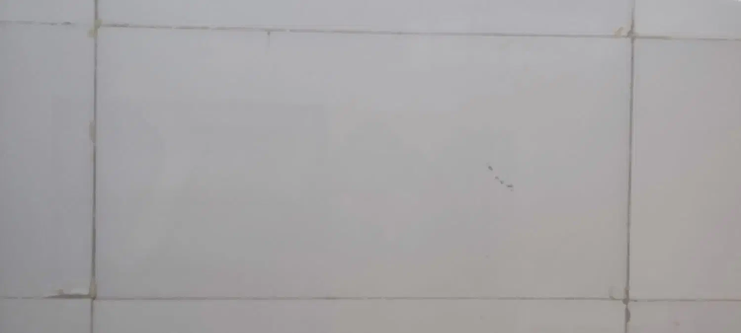 کاشی سفید|مصالح و تجهیزات ساختمان|گلبهار, شهر جدید گلبهار|دیوار