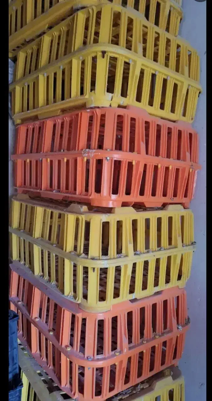 سبد مرغ زنده|لوازم جانبی حیوانات|مریوان, |دیوار