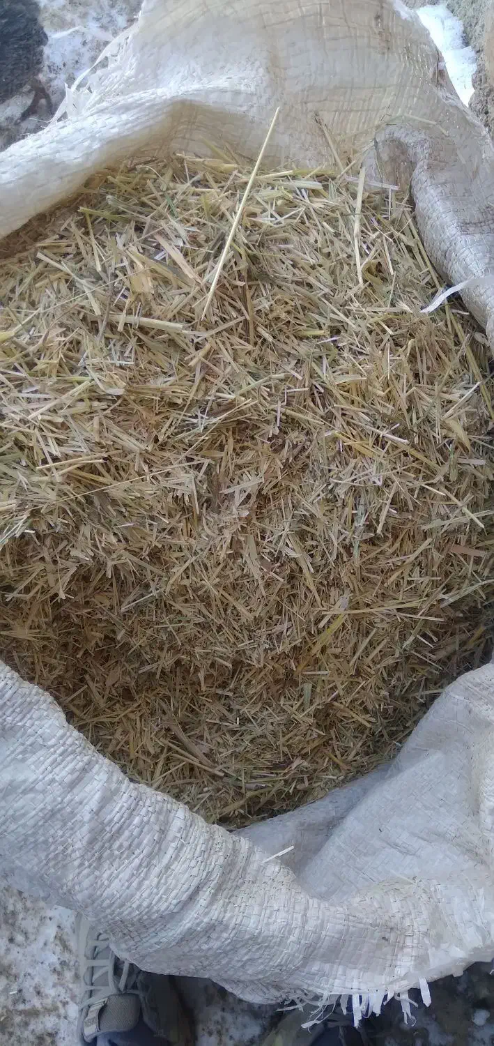 کاه زرد|لوازم جانبی حیوانات|باوله, |دیوار