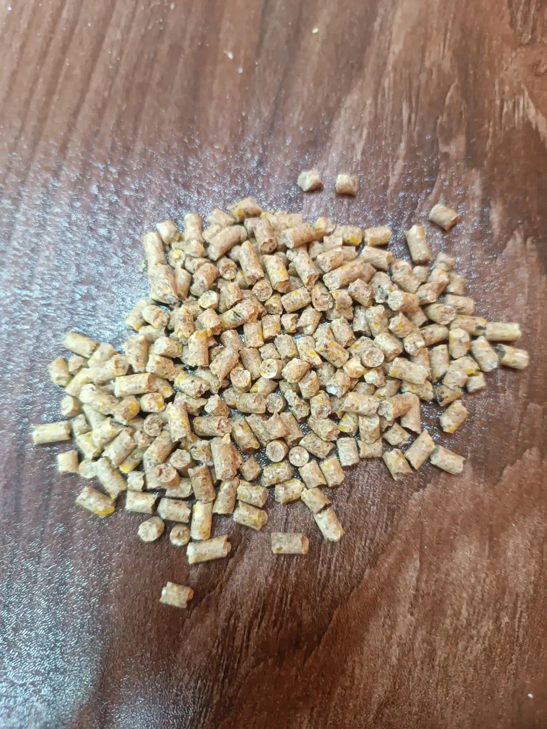 کنسانتره دامی و دان اماده طیور|لوازم جانبی حیوانات|بابل, |دیوار