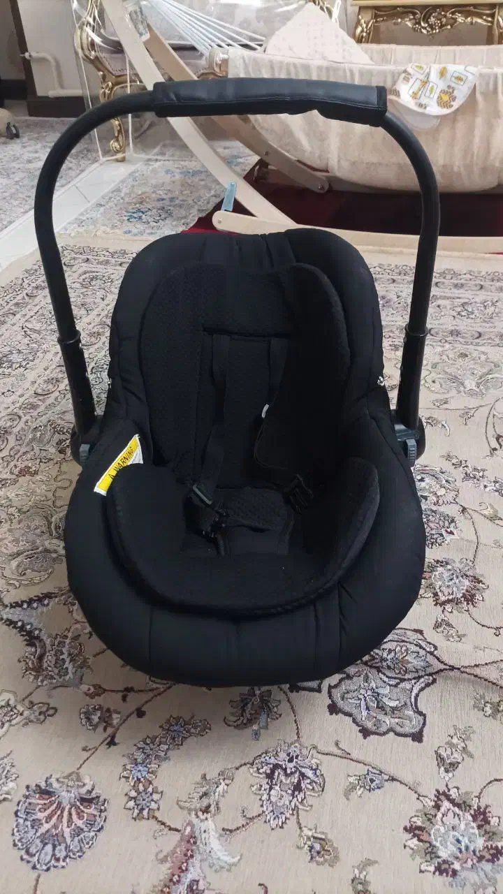 کریر دلیجان|کالسکه و لوازم جانبی|فردیس, نگارستان|دیوار