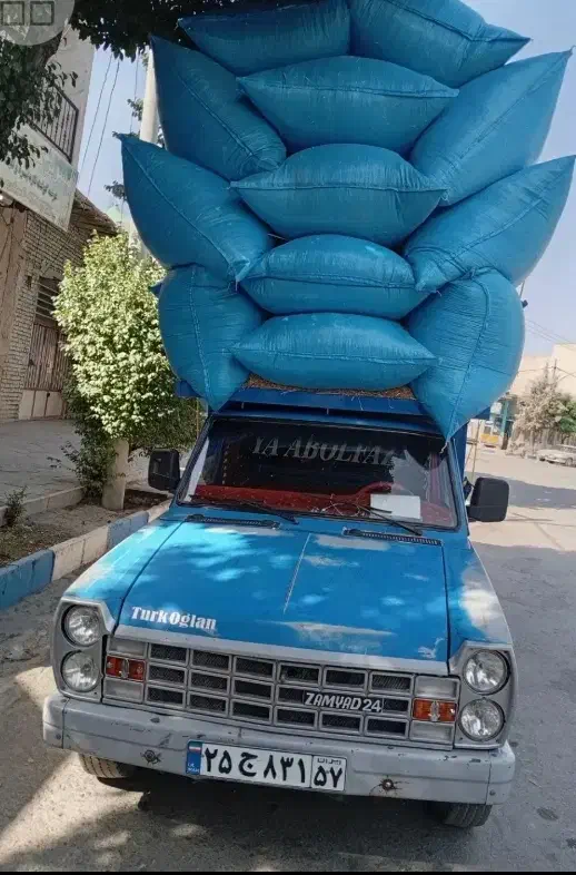 کاه گندم وسفال کاه لوبیا تحویل درب انبار|لوازم جانبی حیوانات|گلپایگان, |دیوار