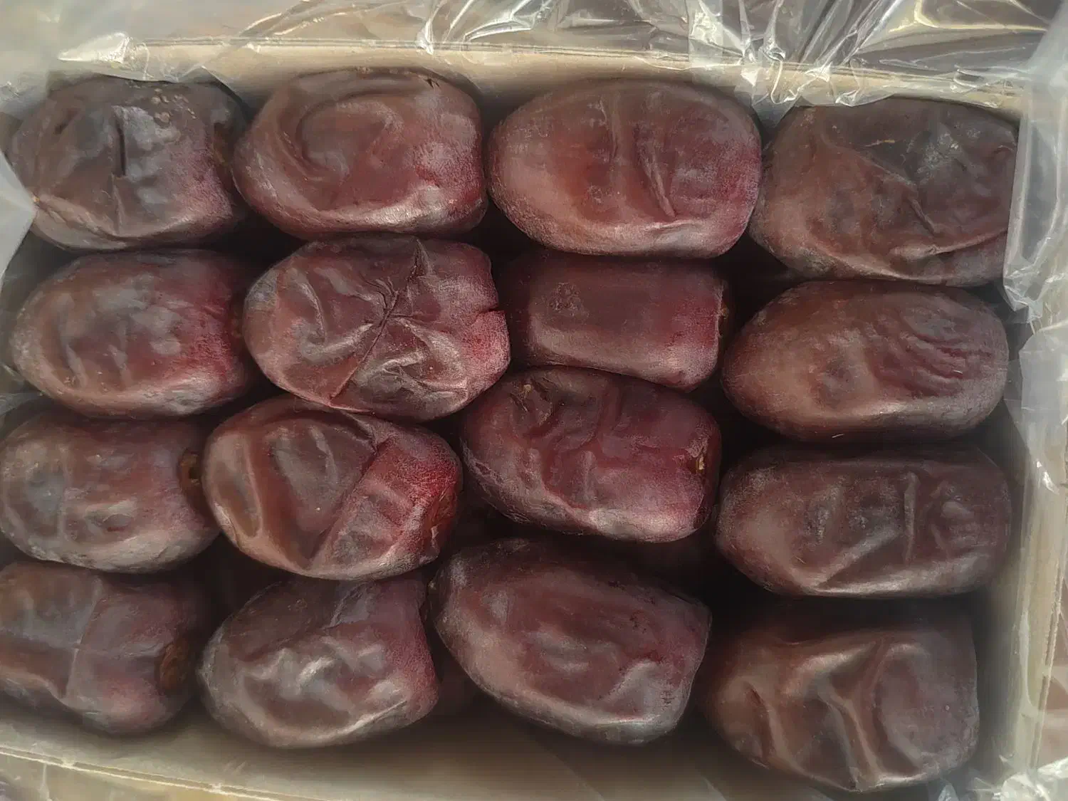 خرما3ردیفی میانگین نزدیک 7 و خرما فله ای 5 کیلویی|عمده‌فروشی|بم, |دیوار