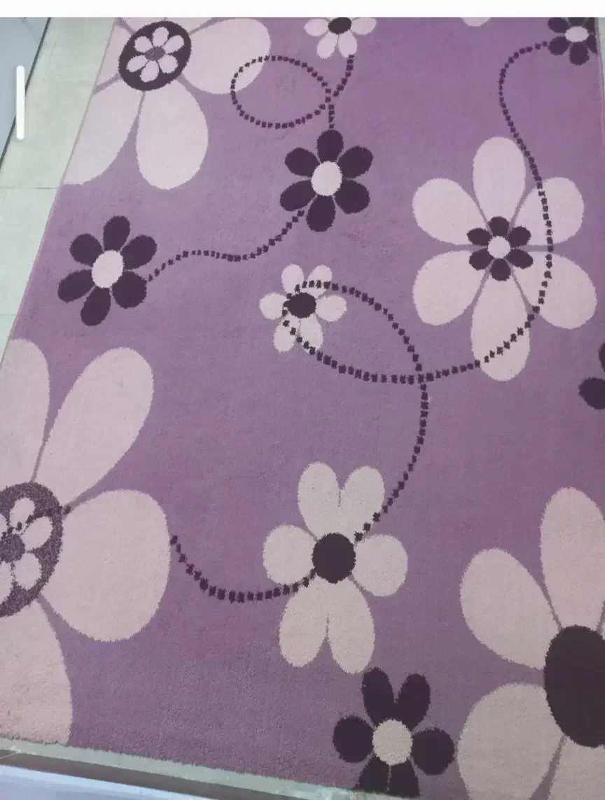 دوعدد گلیم سالم|گلیم، جاجیم، گبه|بهارستان, |دیوار