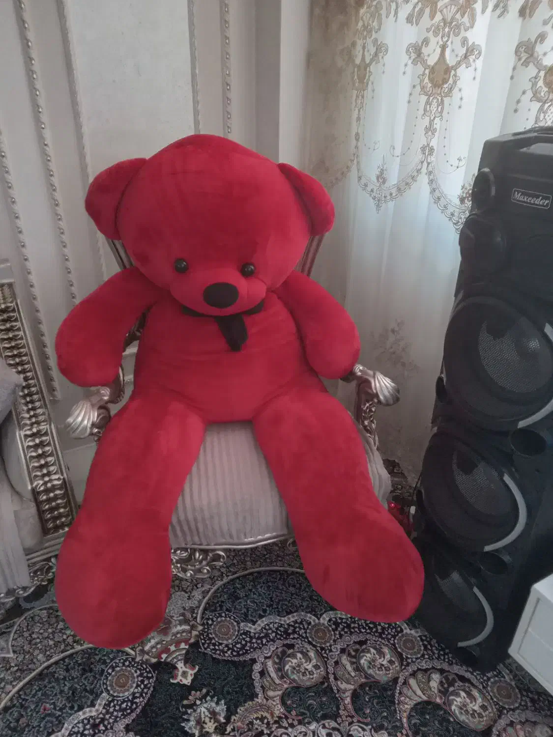 خرس بزرگ|اسباب‌‌بازی|اردبیل, |دیوار