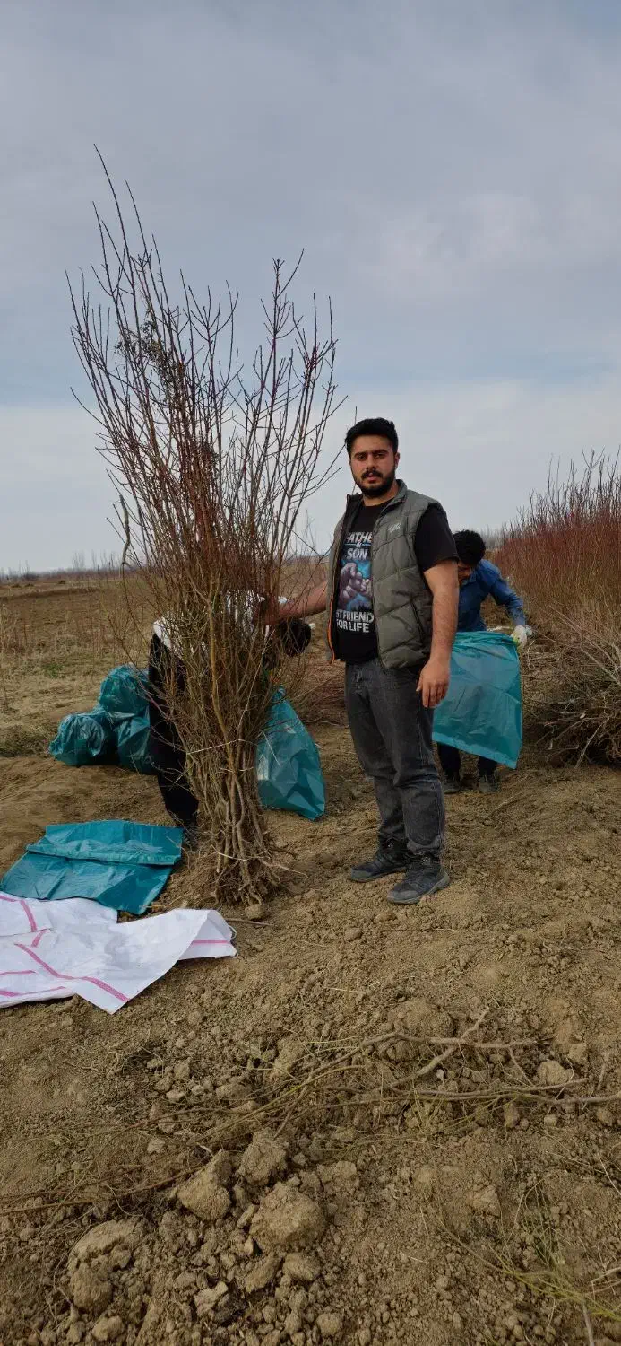 بازگشت سرمایه سریع با بادام پربازده|خدمات باغبانی و درختکاری|یاسوج, |دیوار