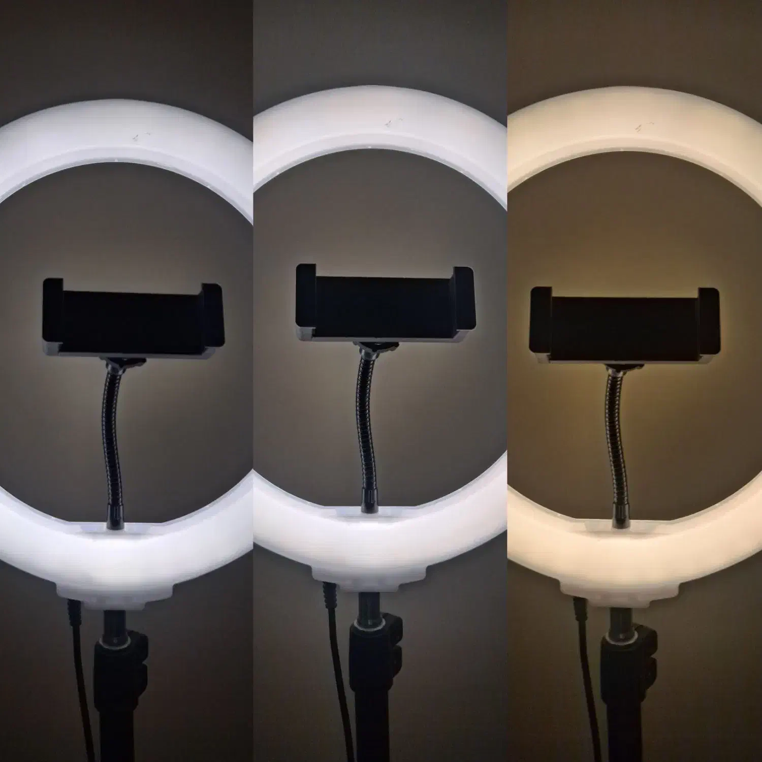 رینگ لایت|دوربین عکاسی و فیلم‌برداری|تهران, چهارصد دستگاه|دیوار