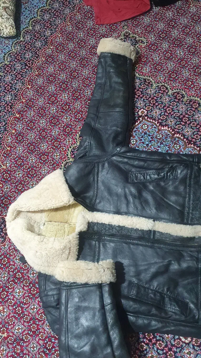 بوفالو خارجی اصل|لباس|کامیاران, |دیوار