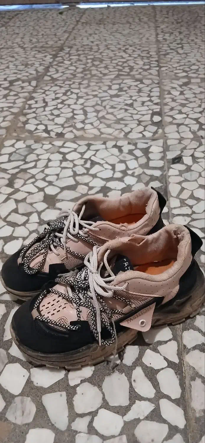 ۳ جفت کفش|کیف، کفش، کمربند|باغستان, |دیوار