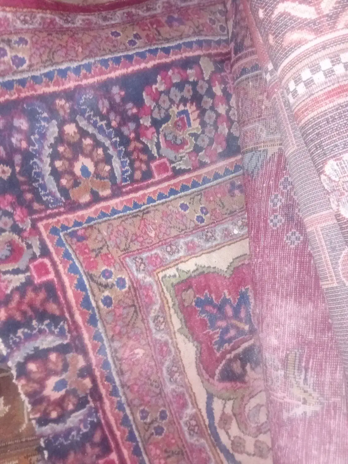 فرش دست باف|فرش|شادمهر, |دیوار