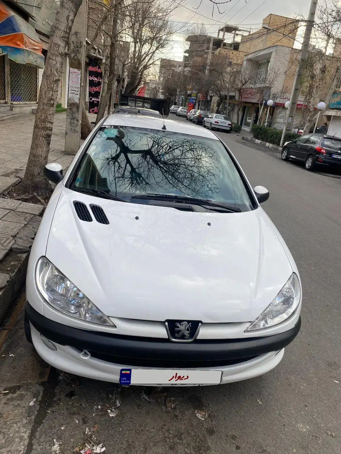 پژو ۲۰۶ sd V8|خودرو سواری و وانت|کرج, حصارک بالا|دیوار