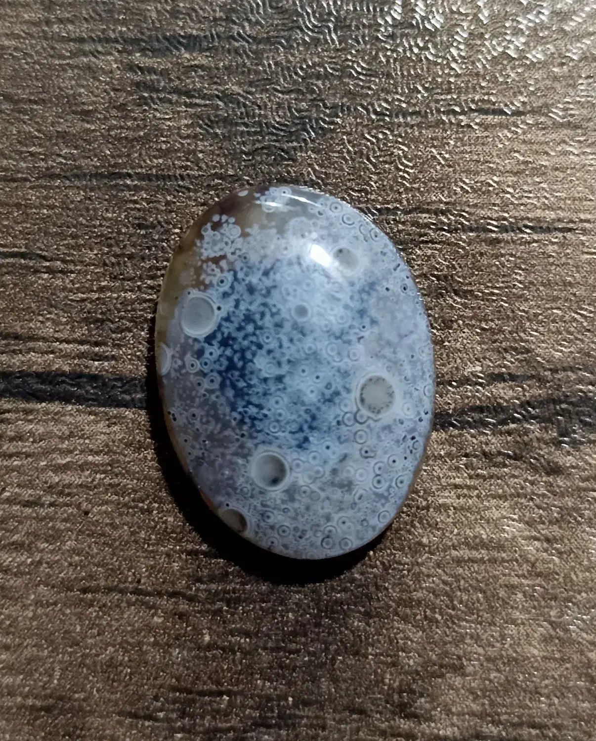 نگین شجر دریایی|جواهرات|تربت جام, علوی|دیوار