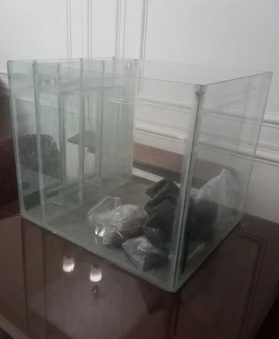 آکواریوم کاملا سالم|ماهی|پاکدشت, پاکدشت (مامازند)|دیوار