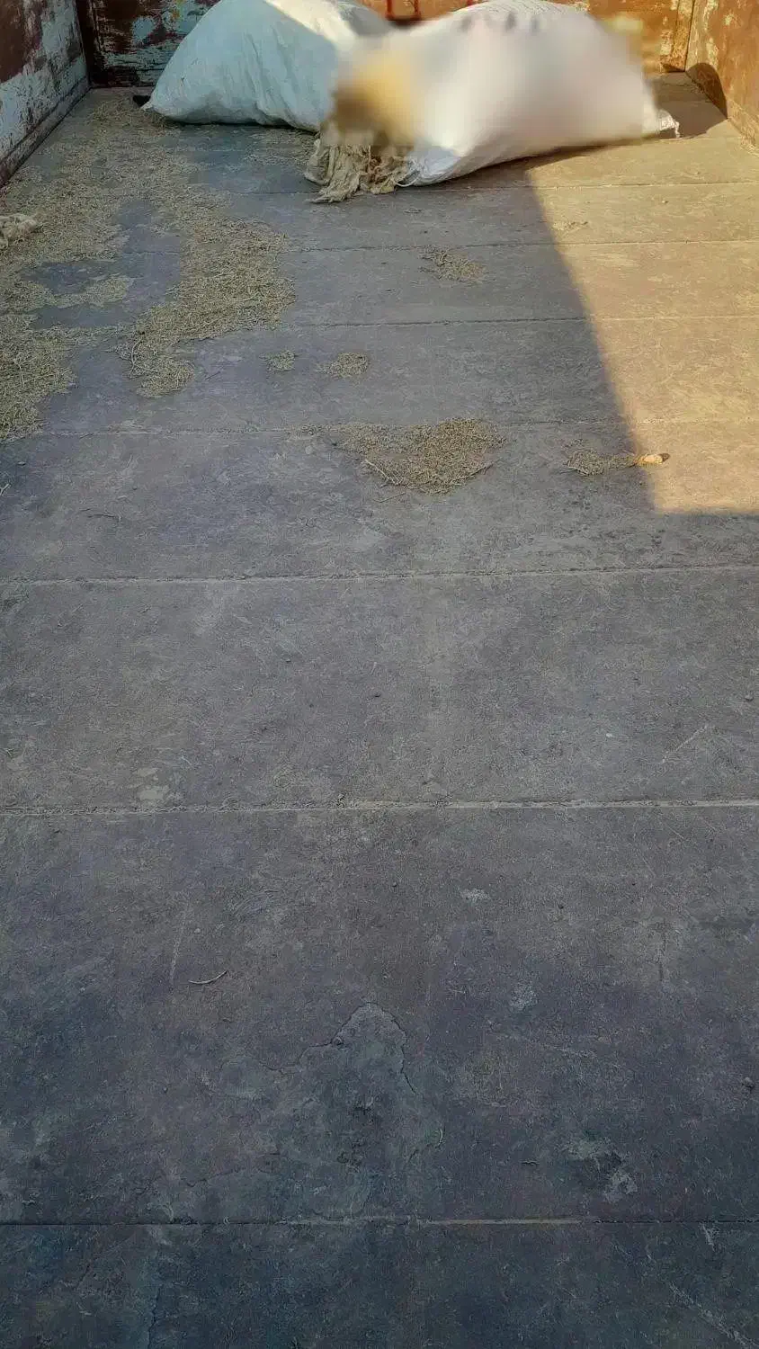 تریلیتراکتور|خودرو سنگین|باوی, |دیوار