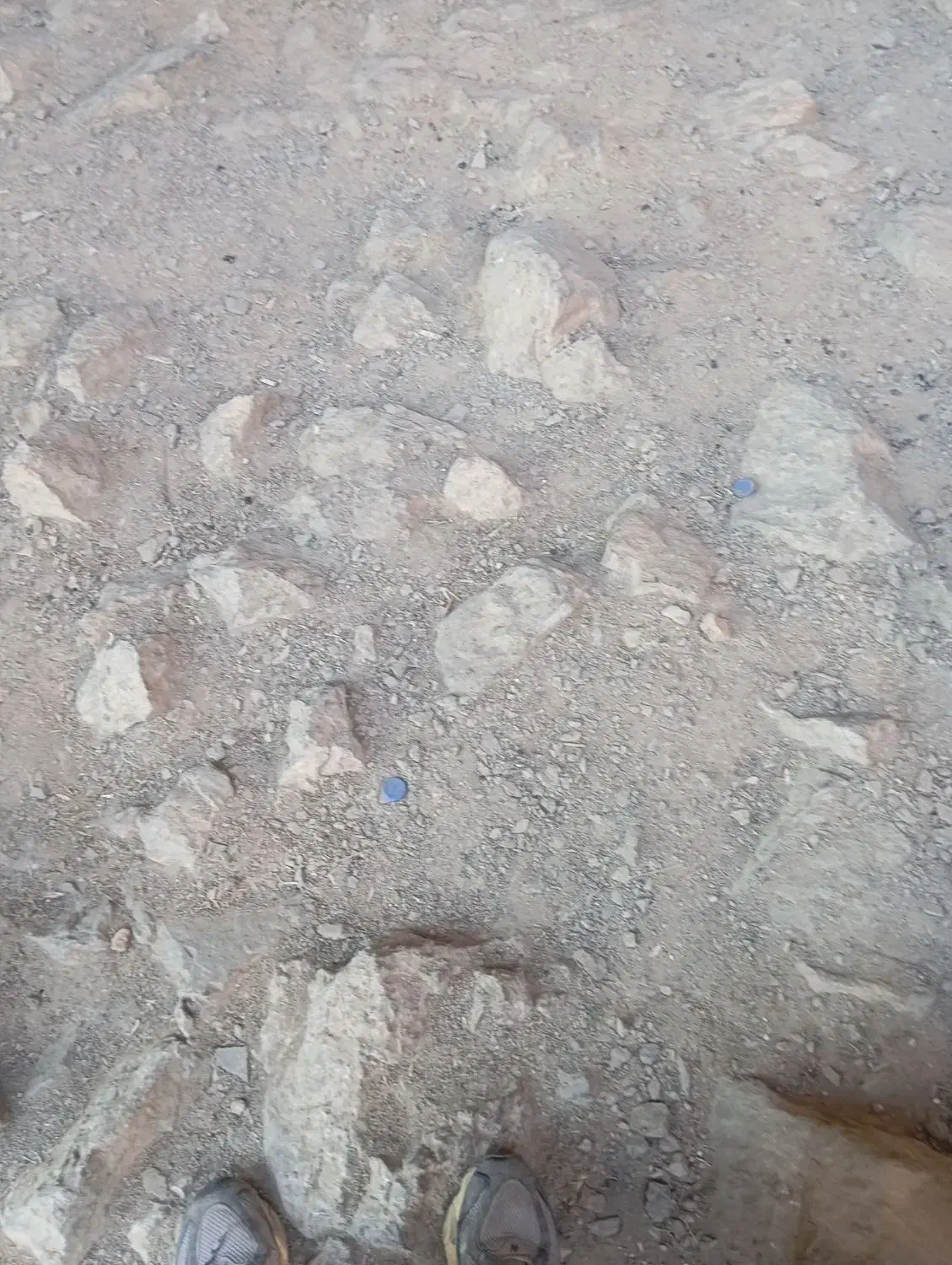 مدارک بنام موسی پورزبیدی گم شده|اشیا|بندر امام خمینی, |دیوار