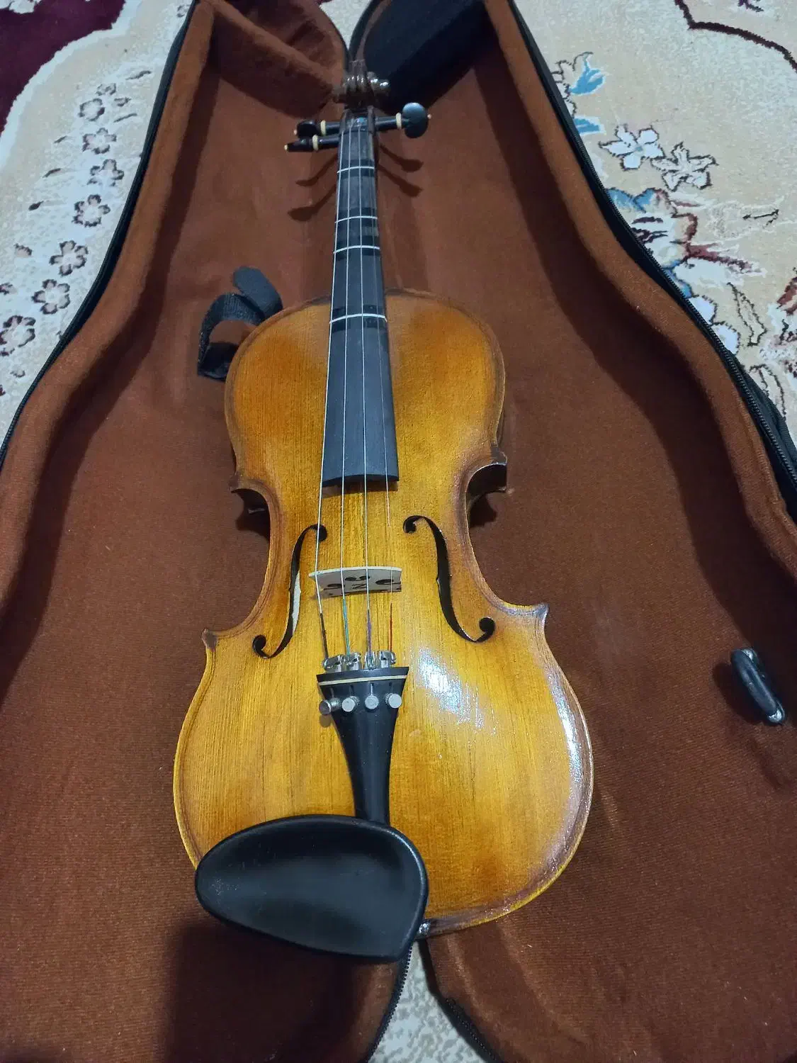 ویولن دست ساز|ویولن|فیروزآباد (فارس), |دیوار