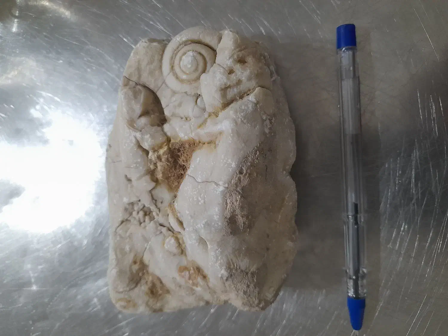 فسیلسنگ|مجسمه، تندیس، ماکت|شهرکرد, |دیوار