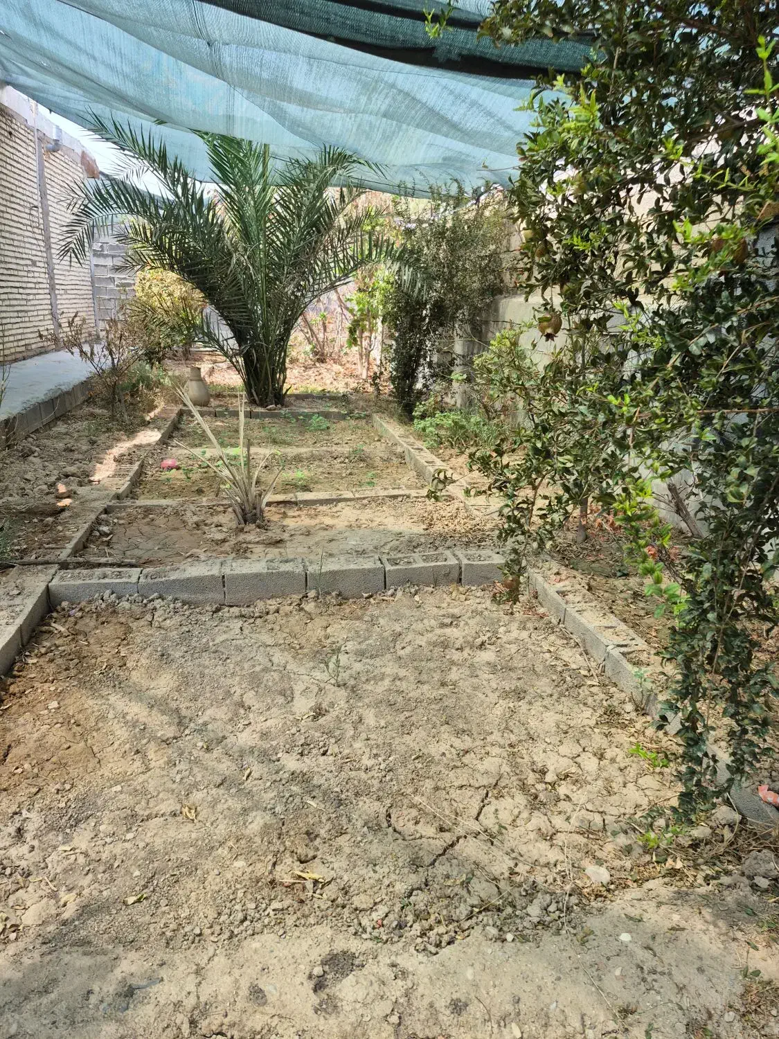 کاشت گل و‌گیاه|خدمات باغبانی و درختکاری|رامهرمز, |دیوار