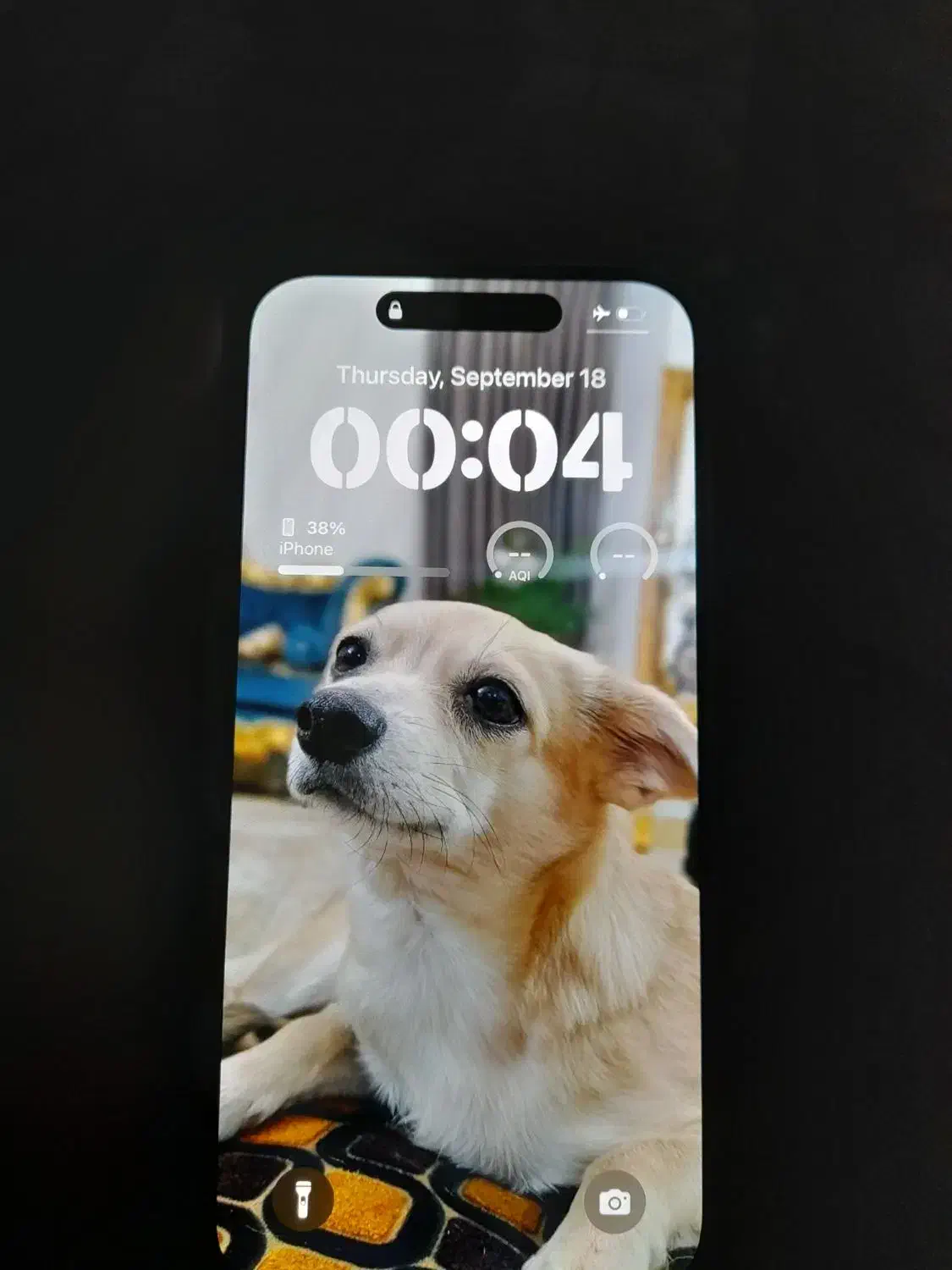 یک نیسان آبی از رستمکلاه پمپ بنزین کوچک زاده برده|حیوانات|رستمکلا, |دیوار