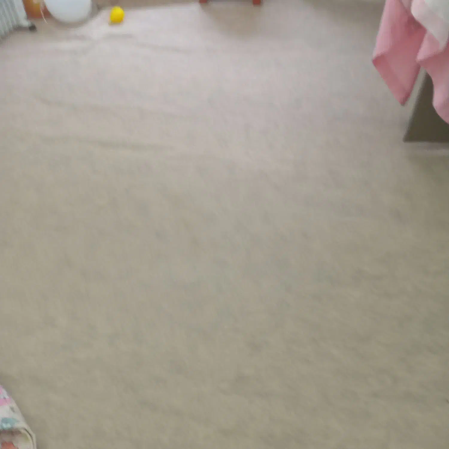 موکت ۳/۳۰ در۳/۵|موکت|رشت, سعدی (تختی)|دیوار