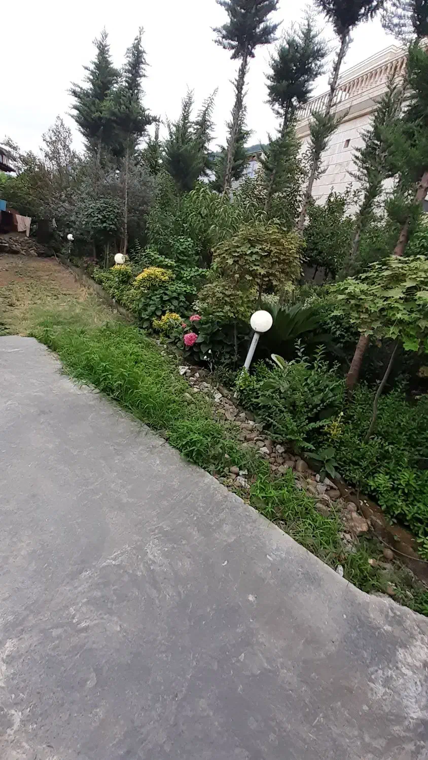 سویت 50 متری مبله تک خواب با پارکینگ|اجارهٔ خانه و ویلا|کلاچای, |دیوار