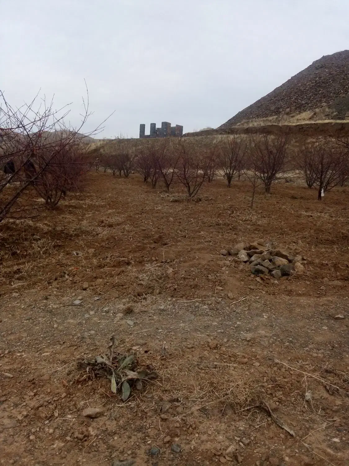 سمپاشی چال کود تیلر هرس|خدمات باغبانی و درختکاری|سنندج, |دیوار