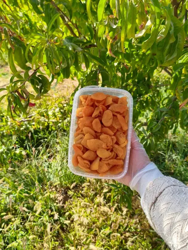 ارسال را یگان آلو بخارا گوشتی جمعه به سراسر مشهد|خوردنی و آشامیدنی|مشهد, بهاران|دیوار