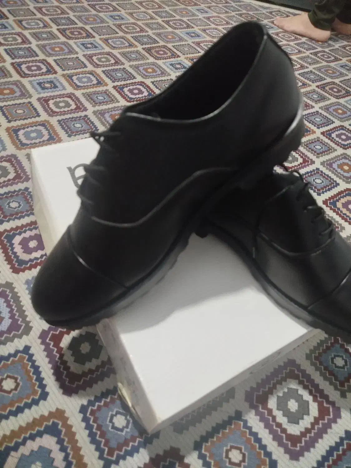 کفش مجلسی|کیف، کفش، کمربند|دورود, |دیوار