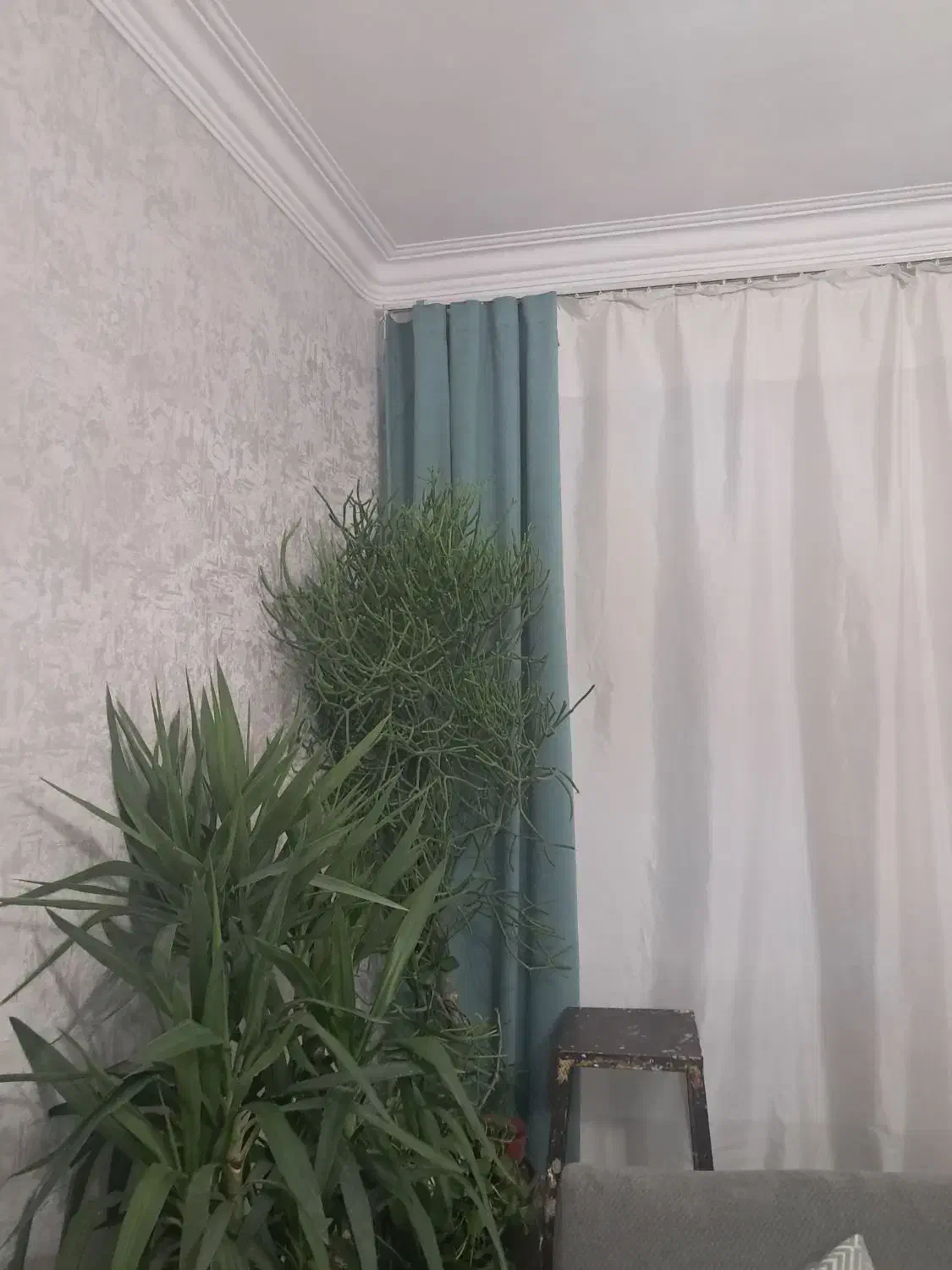 دوعدد شال پرده مینیمال|پرده، رانر، رومیزی|تهران, افسریه جنوبی|دیوار