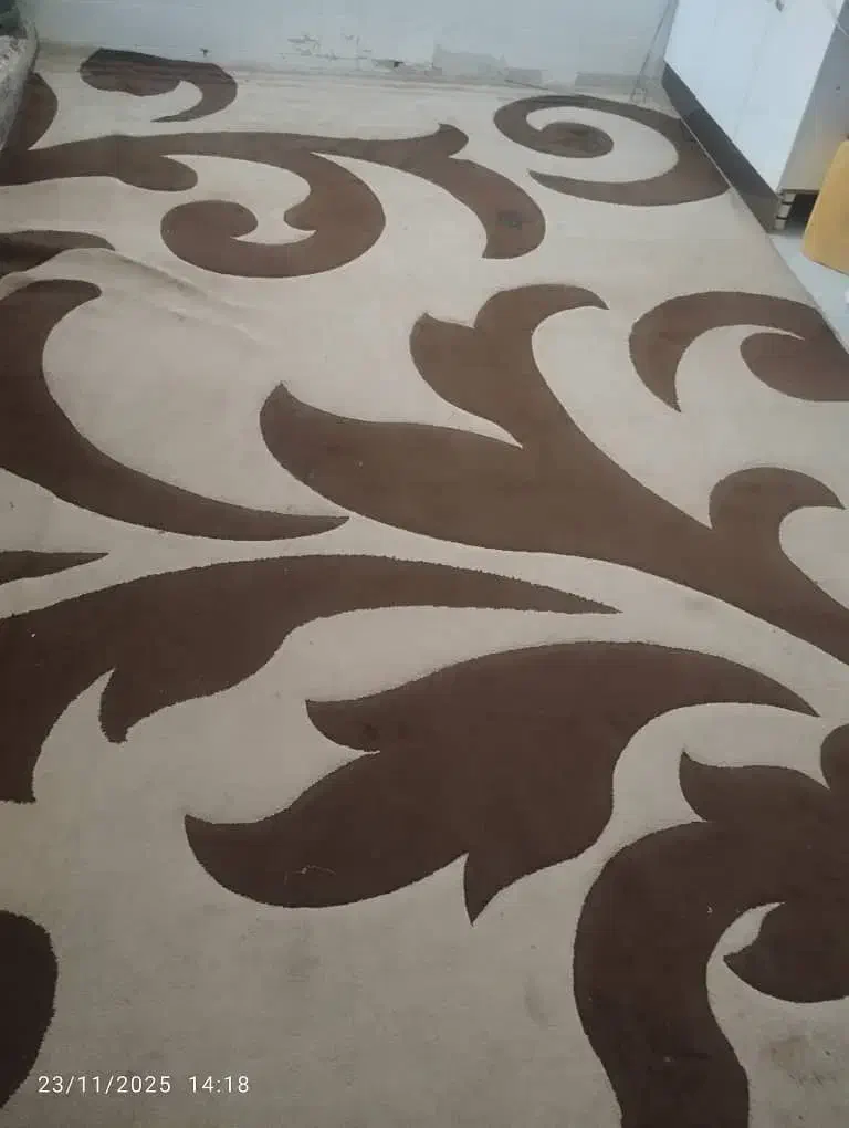 فرش گلیم|گلیم، جاجیم، گبه|زاهدان, |دیوار