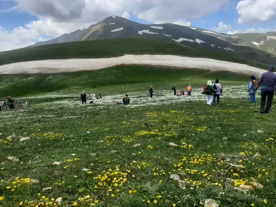 شالیزار|فروش زمین و ملک کلنگی|چوبر, |دیوار