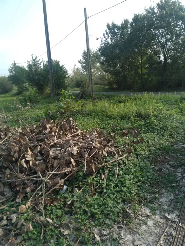 زمین کاملا مسکونی بر اسفالت|فروش زمین و ملک کلنگی|شفت, |دیوار