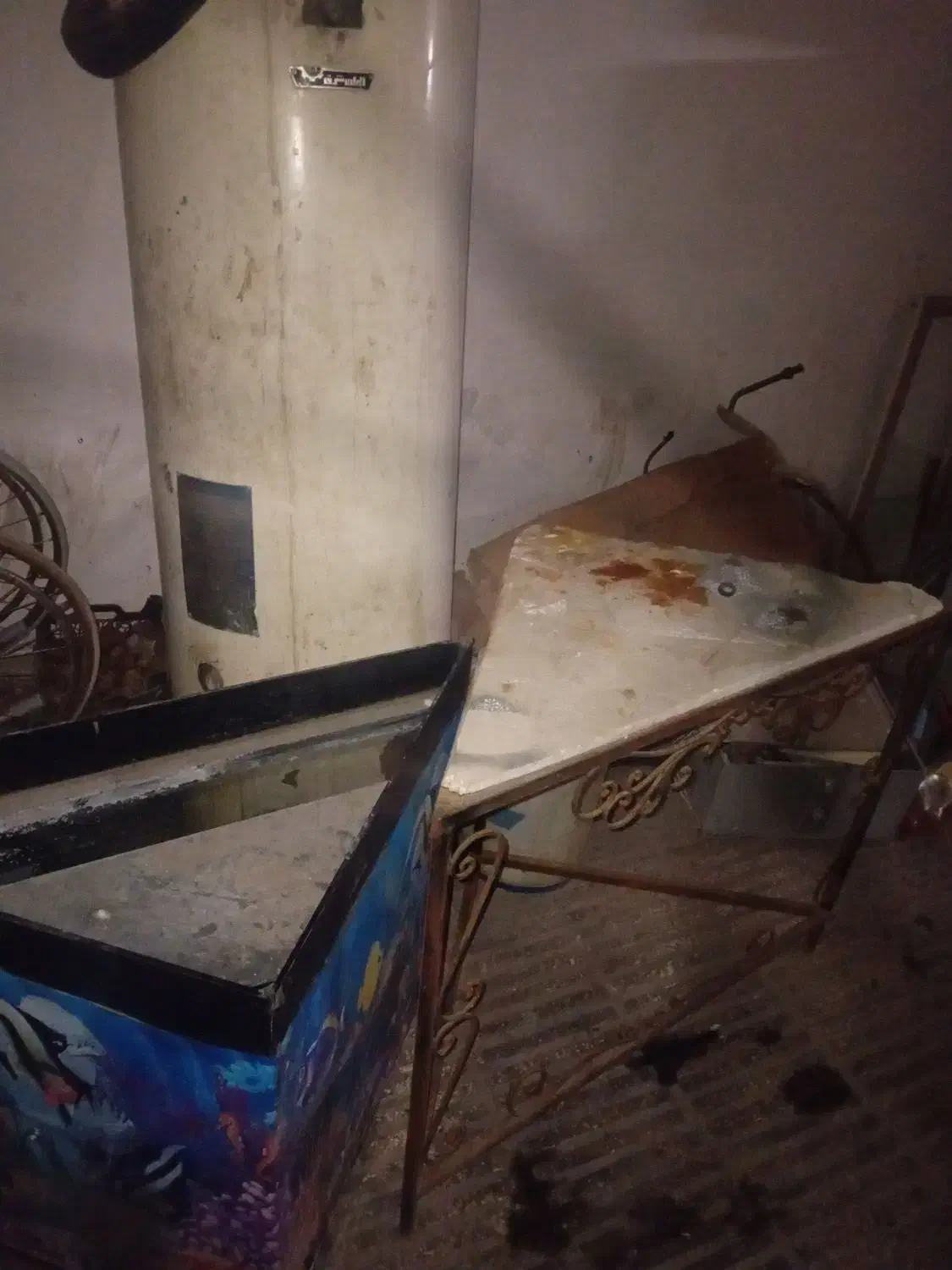 اکواریوم|ماهی|گرگان, |دیوار