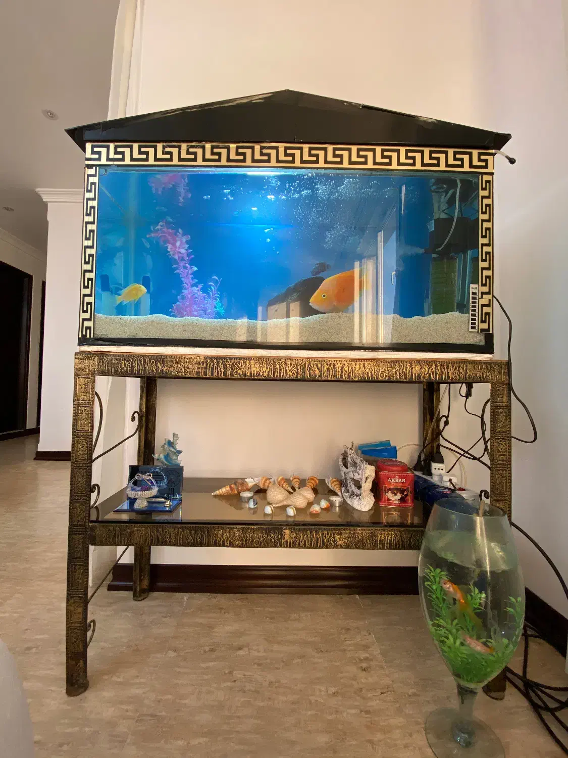 فروش آکواریوم بزرگ (خالی بدون ماهی)|ماهی|بندرعباس, |دیوار