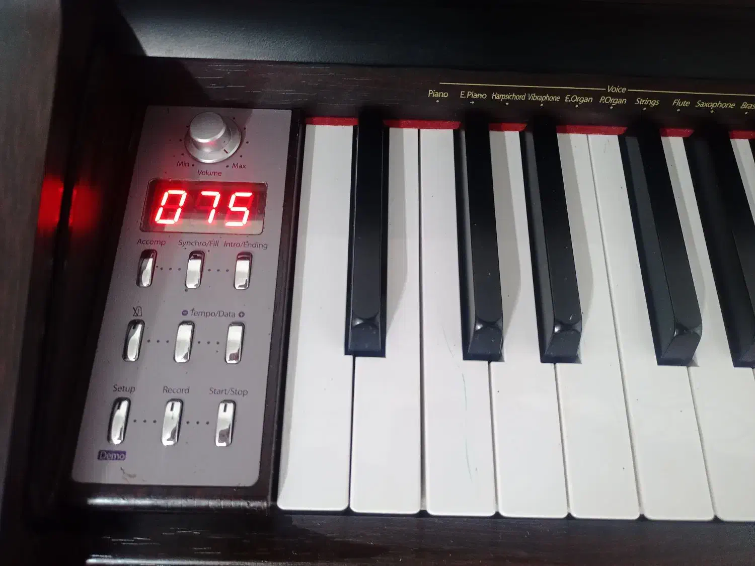 پیانو دیجیتال دایناتون کره|پیانو، کیبورد، آکاردئون|شاهین‌شهر, عطار|دیوار