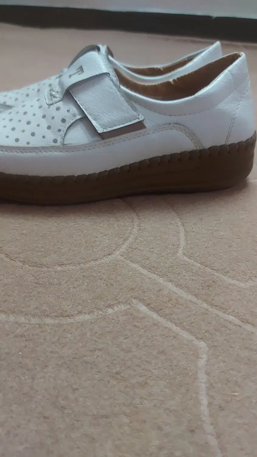 کفش|کیف، کفش، کمربند|بروجرد, |دیوار