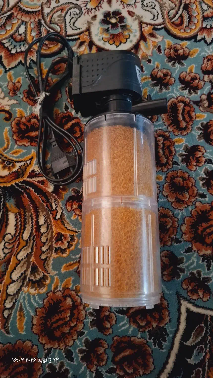 تسویه آکواریوم|ماهی|آبیک, |دیوار