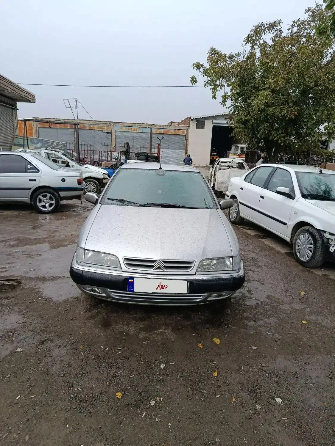 زانتیا سوپر لوکس مدل ۸۱ عتیقه|خودرو سواری و وانت|خوی, |دیوار