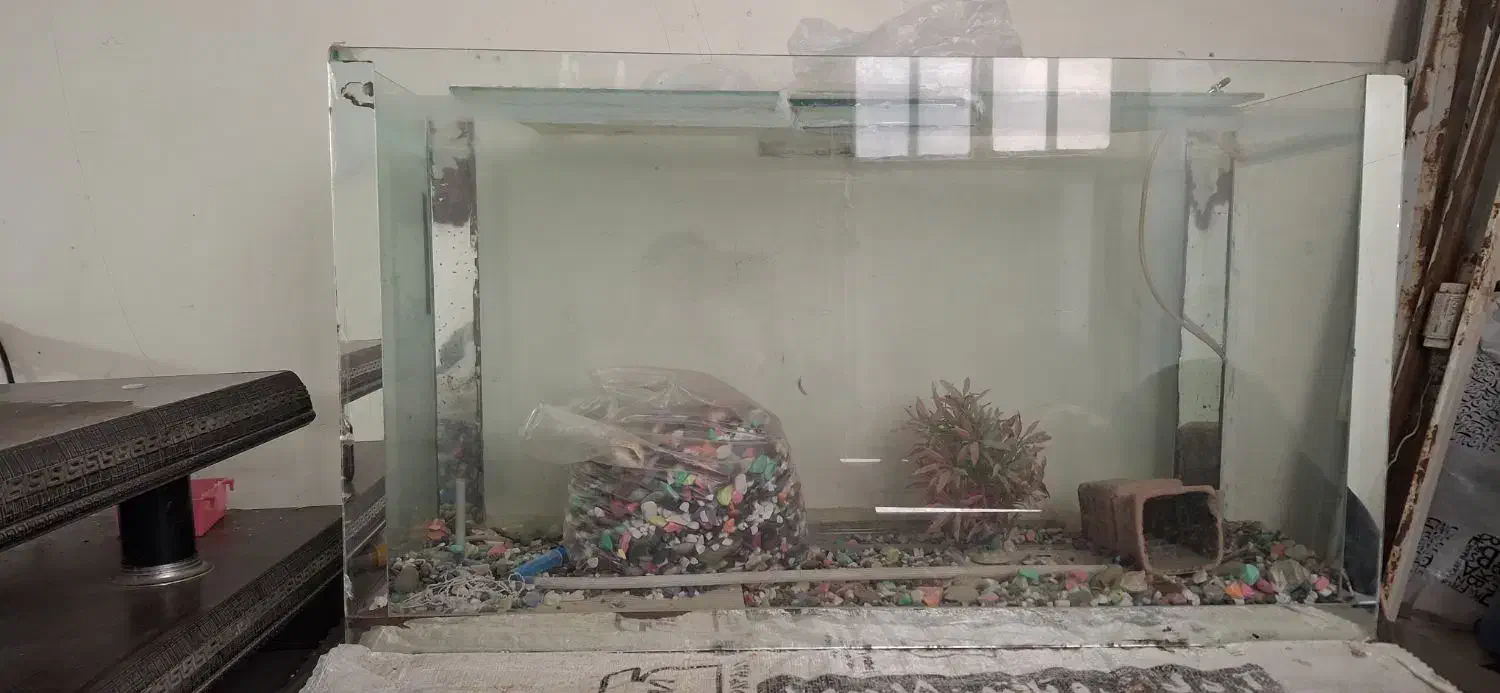 آکواریوم|لوازم جانبی حیوانات|قم, شهرک مهدیه (مدرس)|دیوار