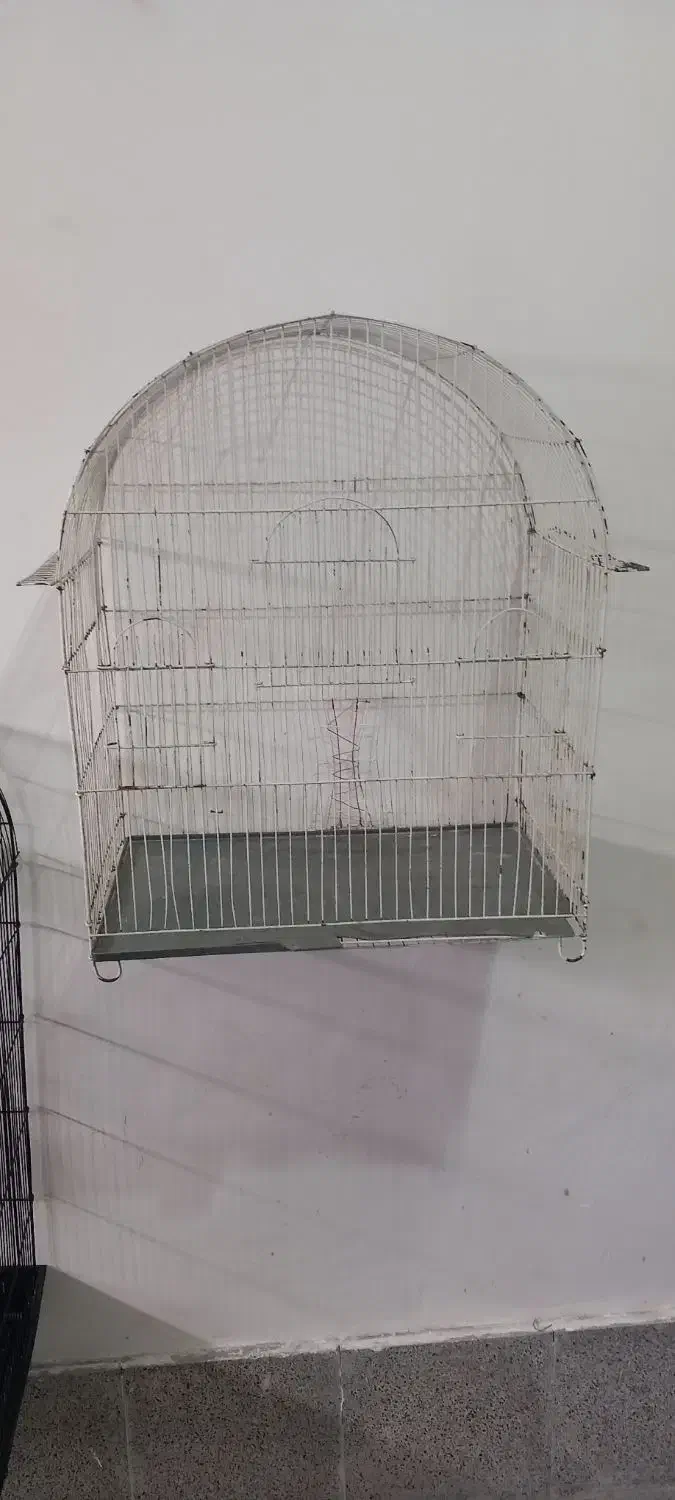 قفس پرنده|لوازم جانبی حیوانات|ارومیه, |دیوار